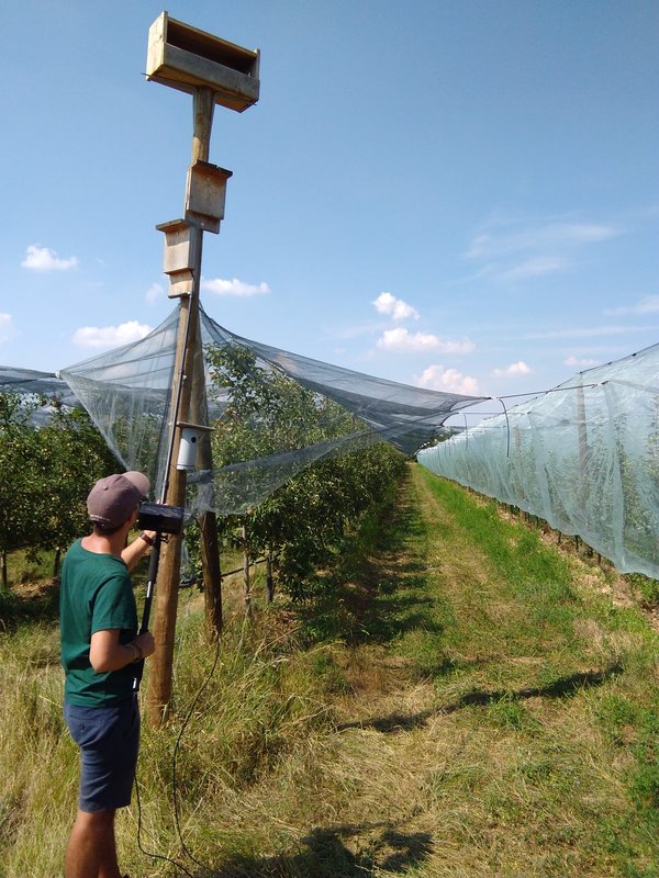 Inspection avec perche et caméra endoscopique